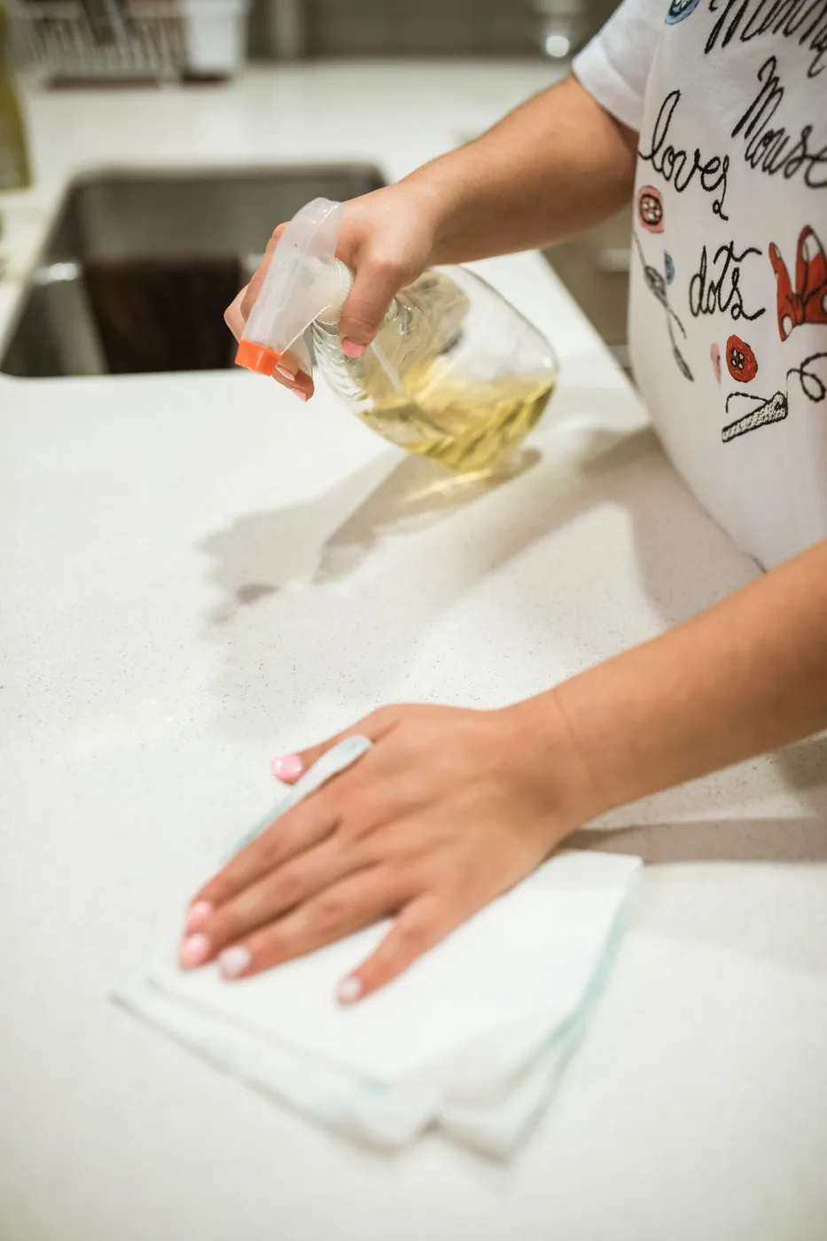 A Woman Cleaning a Kitchen Counter