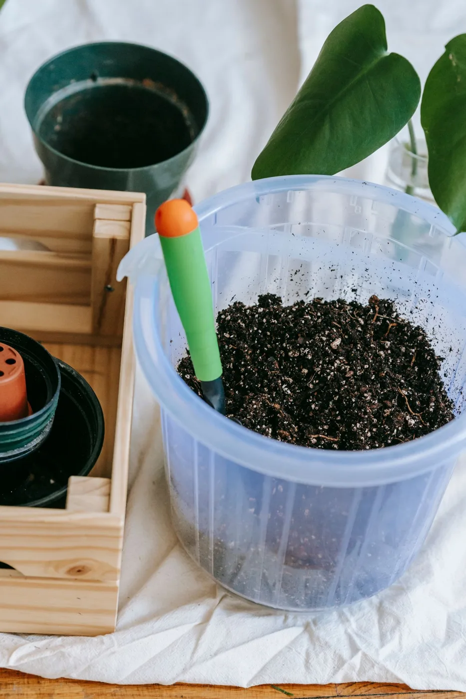 Gardening tool soil and pots for cultivating home plants